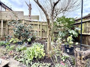 Garden- click for photo gallery